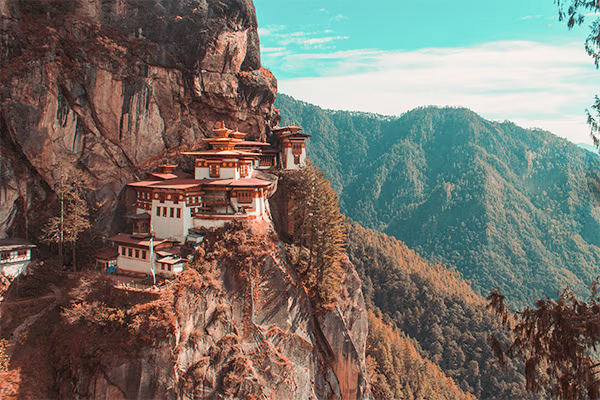 tourImage